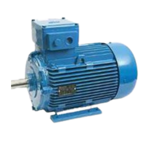 BAA Squirrel Cage Induction Motor