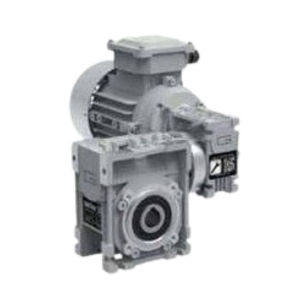 TRANSTECNO - CMM Double Worm Gearmotor