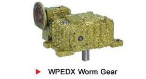 SUPERIOR - WPEDX Worm Gear
