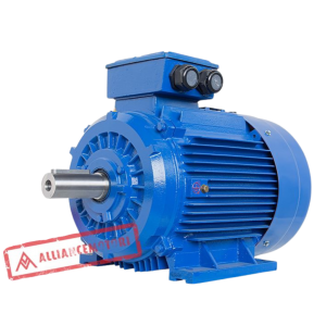 A-Y3B Series - Three Phase Brake Motor